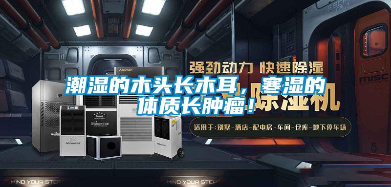 潮濕的木頭長(cháng)木耳，寒濕的體質(zhì)長(cháng)腫瘤！