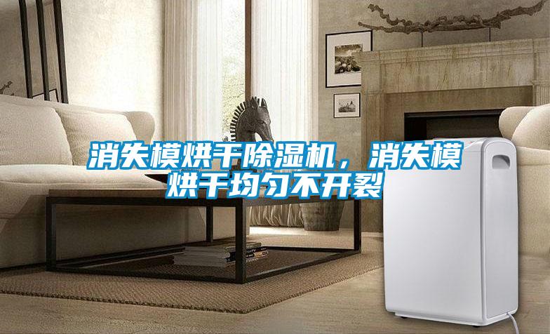 消失模烘干除濕機，消失模烘干均勻不開(kāi)裂