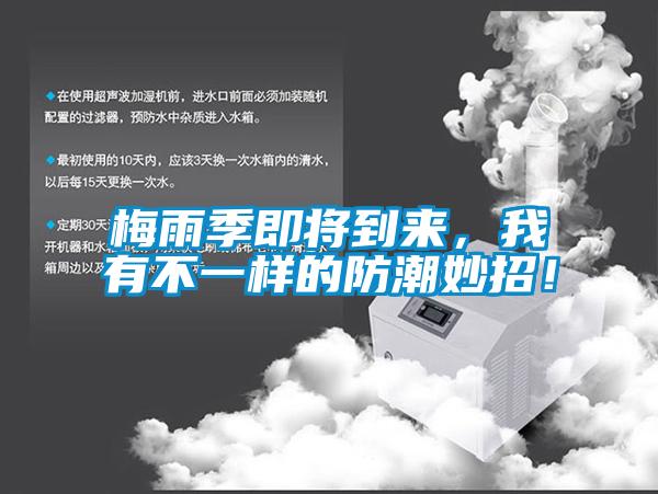 梅雨季即將到來(lái)，我有不一樣的防潮妙招！