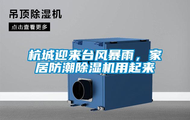 杭城迎來(lái)臺風(fēng)暴雨,家居防潮除濕機用起來(lái)