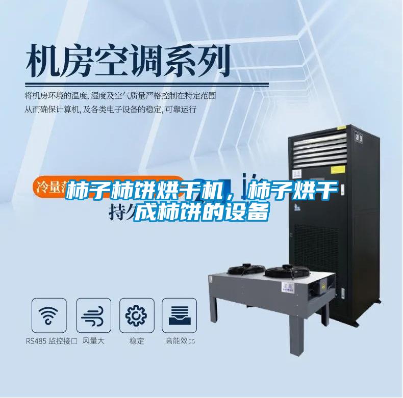 柿子柿餅烘干機，柿子烘干成柿餅的設備