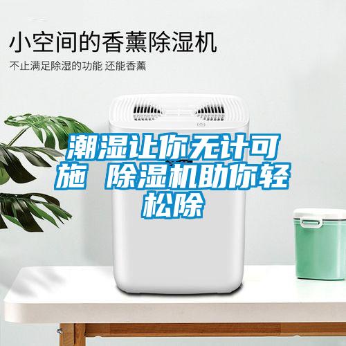 潮濕讓你無(wú)計可施 除濕機助你輕松除