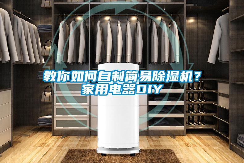 教你如何自制簡(jiǎn)易除濕機？家用電器DIY
