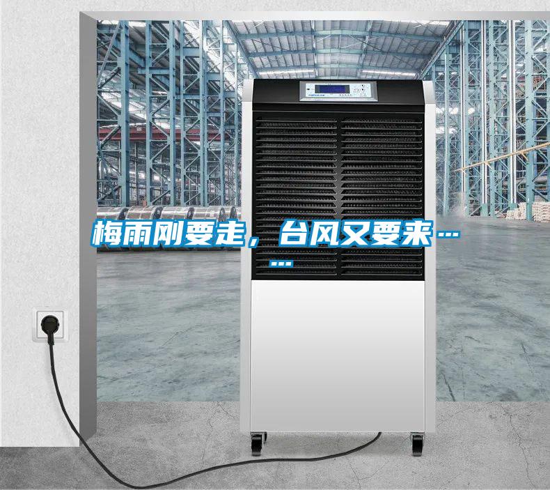 梅雨剛要走，臺風(fēng)又要來(lái)……