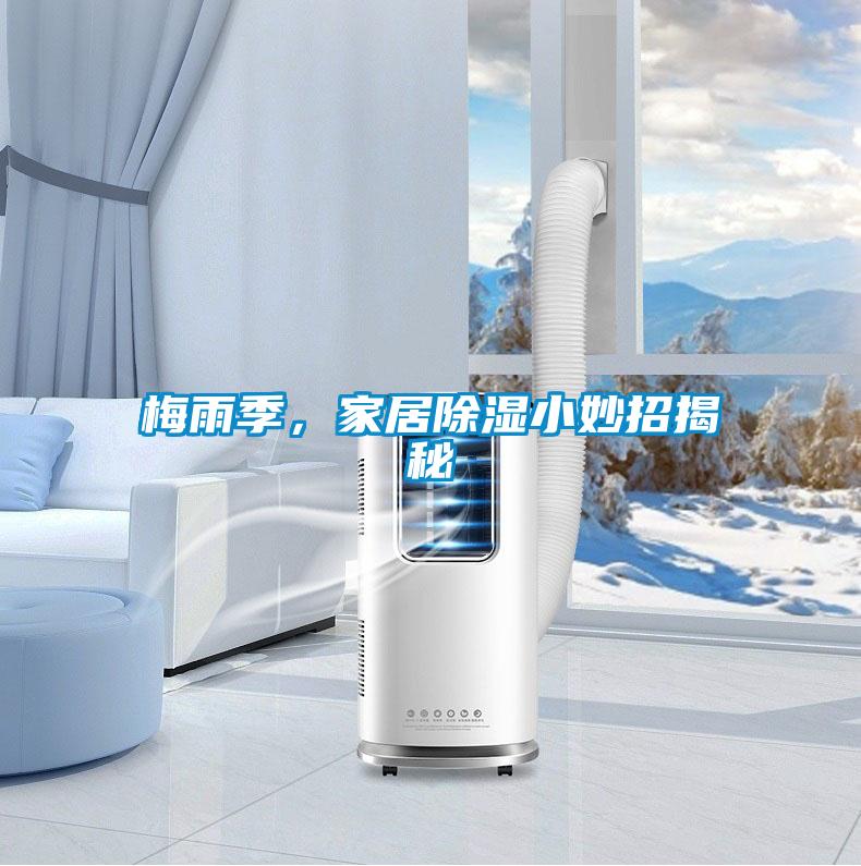 梅雨季，家居除濕小妙招揭秘