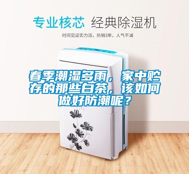 春季潮濕多雨，家中貯存的那些白茶，該如何做好防潮呢？