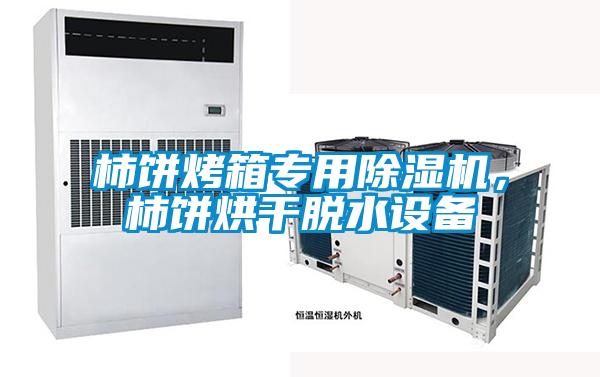 柿餅烤箱專(zhuān)用除濕機,柿餅烘干脫水設備