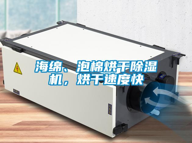 海綿、泡棉烘干除濕機，烘干速度快