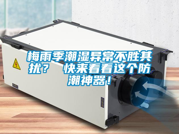 梅雨季潮濕異常不勝其擾？ 快來(lái)看看這個(gè)防潮神器！