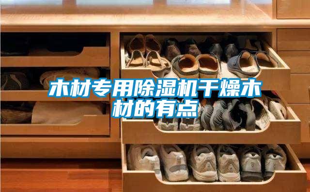 木材專(zhuān)用除濕機干燥木材的有點(diǎn)