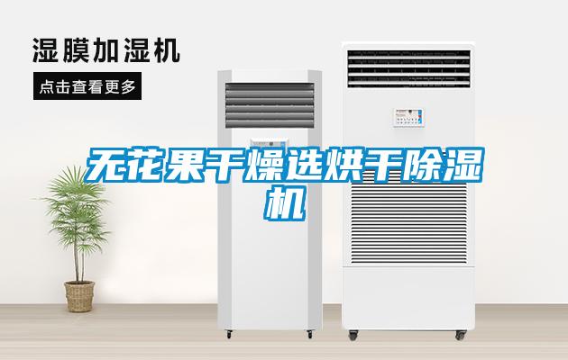 無(wú)花果干燥選烘干除濕機