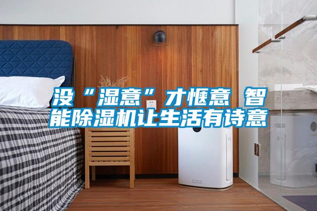 沒(méi)“濕意”才愜意 智能除濕機讓生活有詩(shī)意