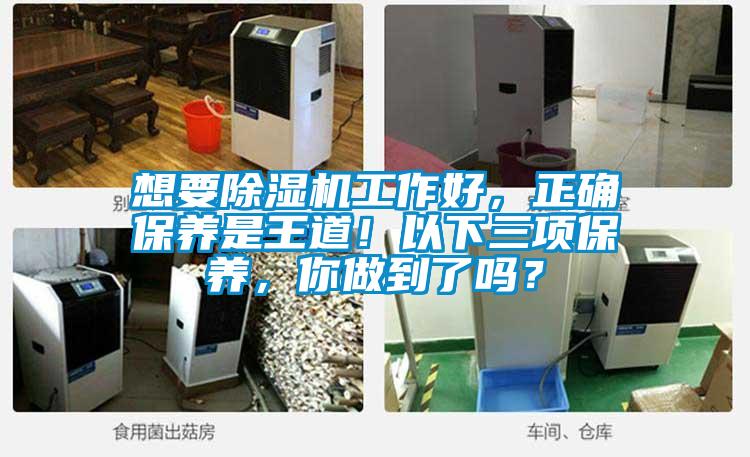 想要除濕機工作好，正確保養是王道！以下三項保養，你做到了嗎？