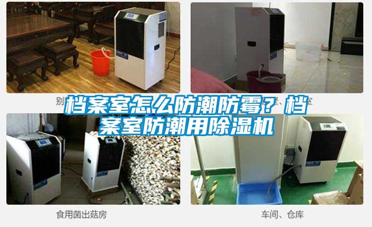 檔案室怎么防潮防霉？檔案室防潮用除濕機