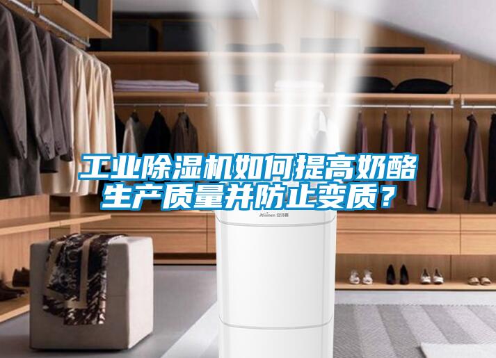 工業(yè)除濕機如何提高奶酪生產(chǎn)質(zhì)量并防止變質(zhì)？