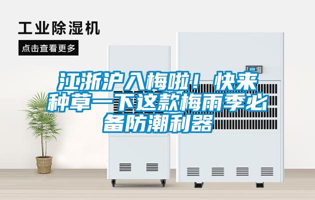 江浙滬入梅啦！快來(lái)種草一下這款梅雨季必備防潮利器