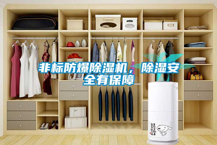 非標防爆除濕機，除濕安全有保障