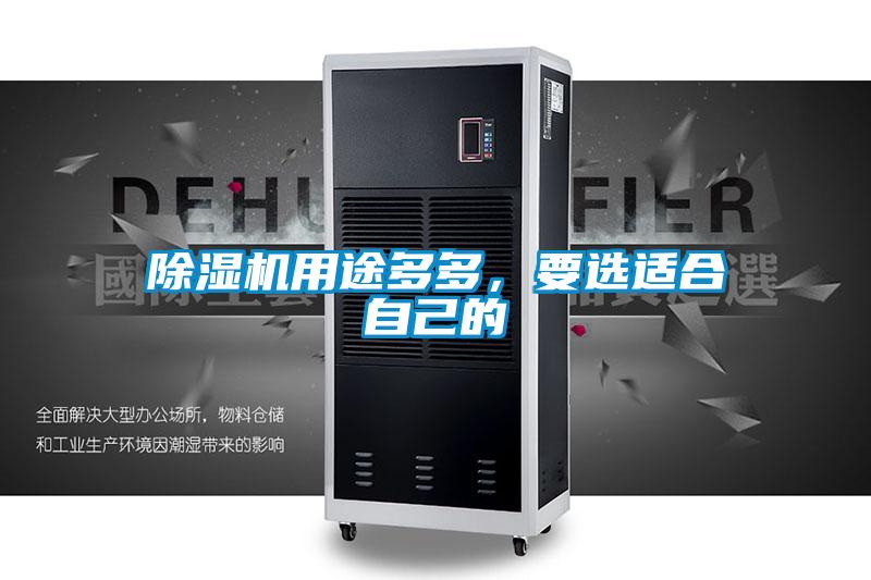 除濕機用途多多，要選適合自己的