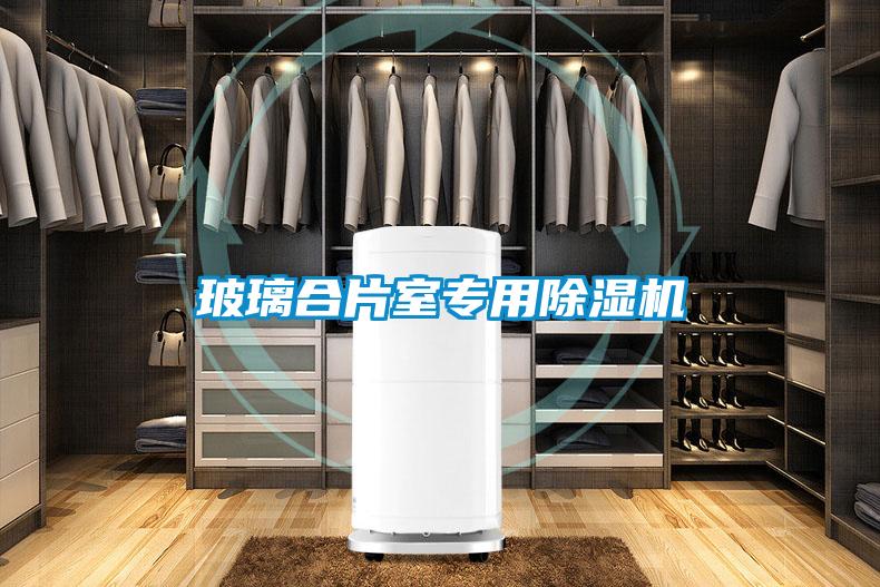 玻璃合片室專(zhuān)用除濕機