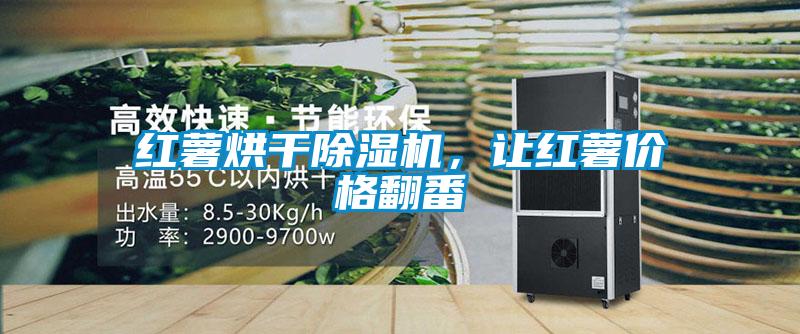 紅薯烘干除濕機，讓紅薯價(jià)格翻番