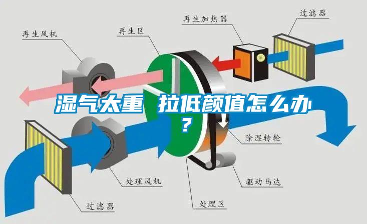 濕氣太重 拉低顏值怎么辦？