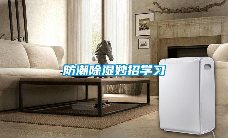 防潮除濕妙招學(xué)習