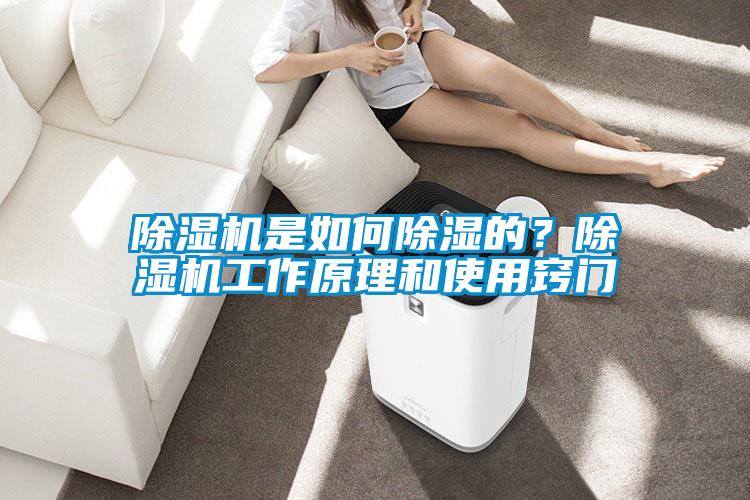 除濕機是如何除濕的？除濕機工作原理和使用竅門(mén)
