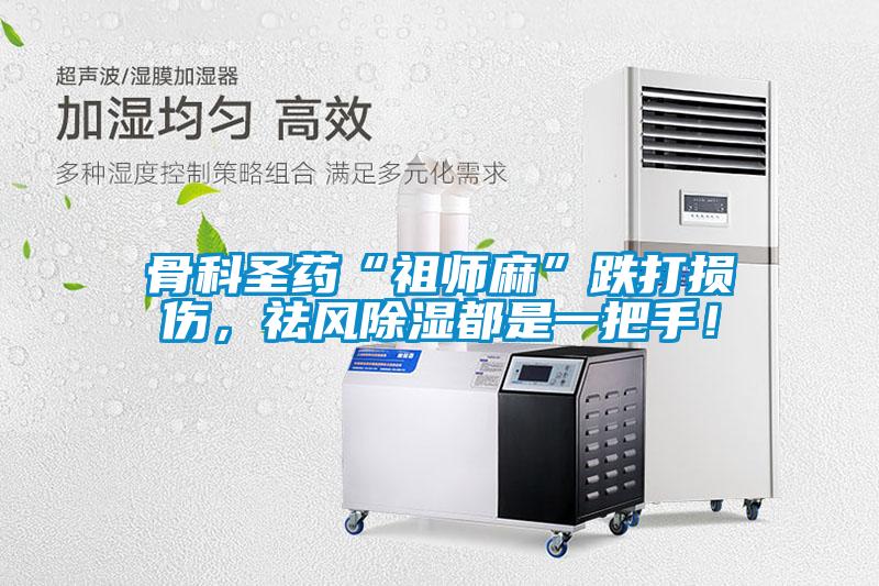 骨科圣藥“祖師麻”跌打損傷，祛風(fēng)除濕都是一把手！