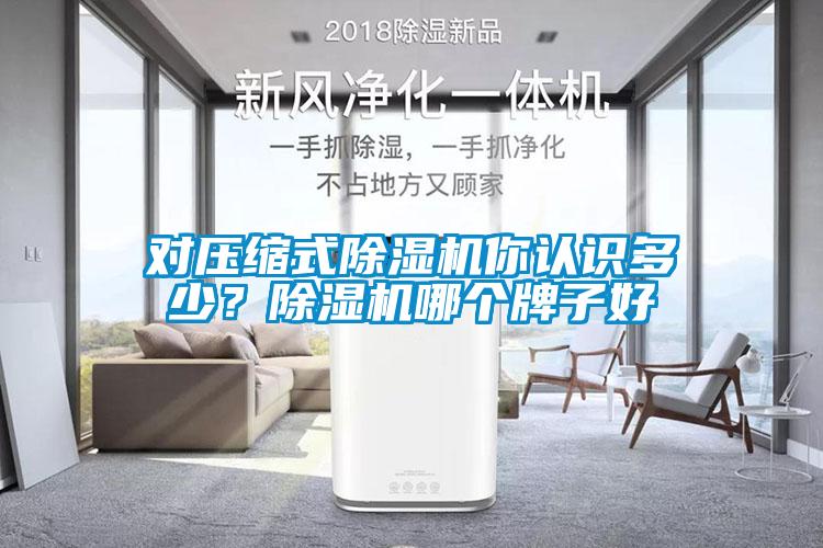 對壓縮式除濕機你認識多少？除濕機哪個(gè)牌子好