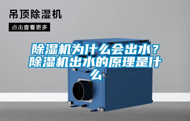 除濕機為什么會出水？除濕機出水的原理是什么