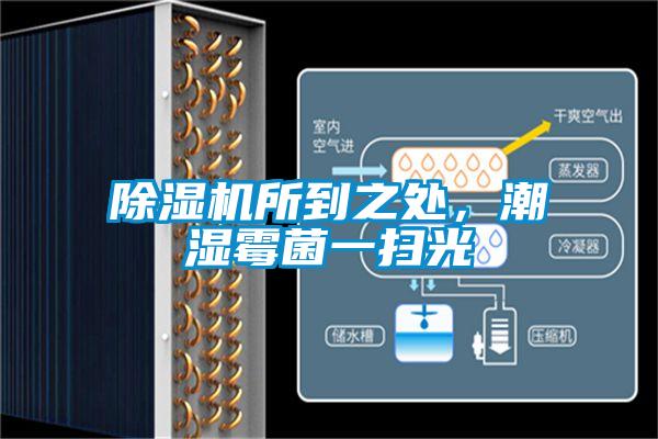 除濕機所到之處，潮濕霉菌一掃光