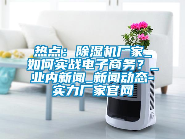 熱點(diǎn)：除濕機廠(chǎng)家_如何實(shí)戰電子商務(wù)？_業(yè)內新聞_新聞動(dòng)態(tài)-實(shí)力廠(chǎng)家官網(wǎng)