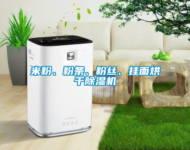 米粉、粉條、粉絲、掛面烘干除濕機