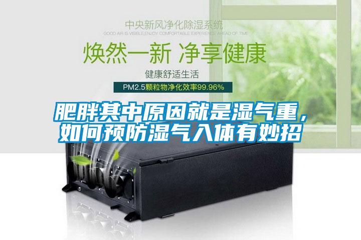 肥胖其中原因就是濕氣重，如何預防濕氣入體有妙招