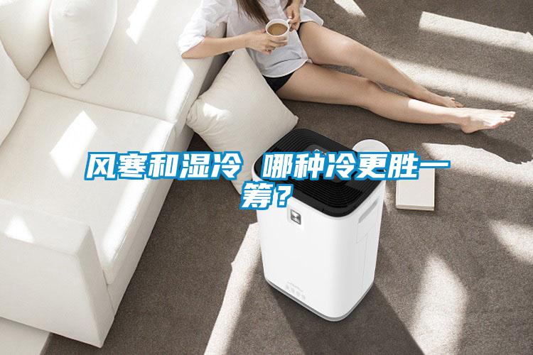 風(fēng)寒和濕冷 哪種冷更勝一籌？