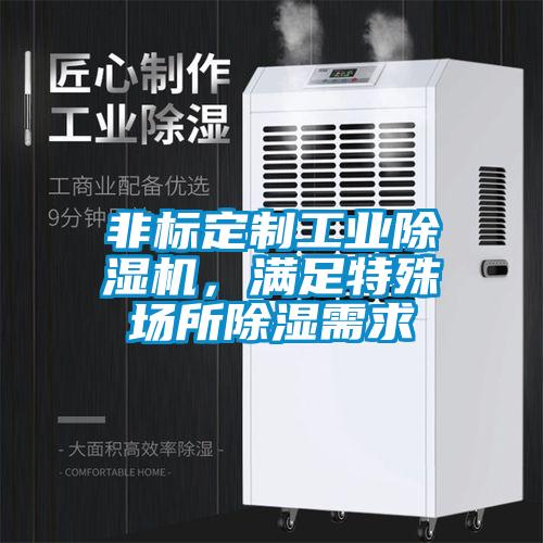 非標定制工業(yè)除濕機，滿(mǎn)足特殊場(chǎng)所除濕需求