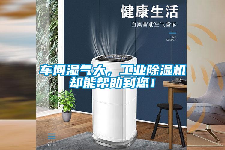 車(chē)間濕氣大，工業(yè)除濕機卻能幫助到您！