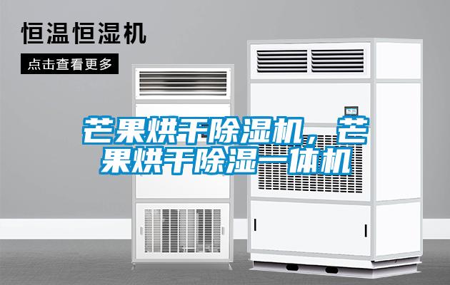 芒果烘干除濕機，芒果烘干除濕一體機