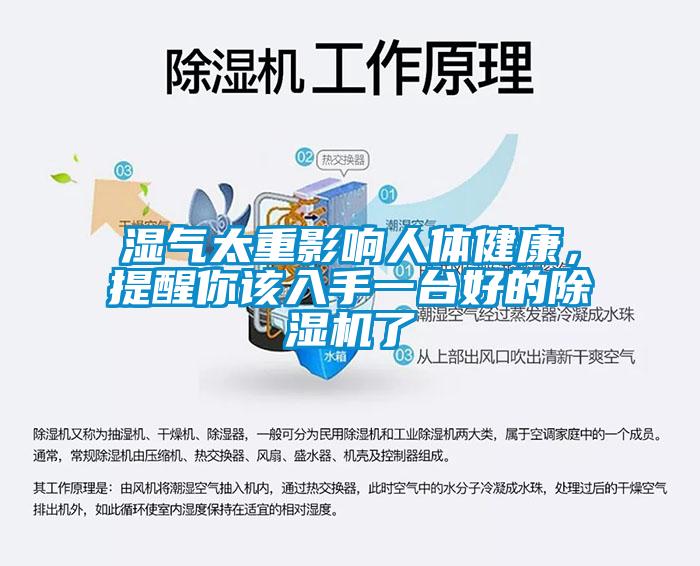 濕氣太重影響人體健康，提醒你該入手一臺好的除濕機了