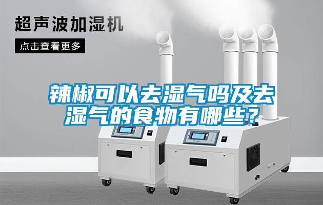 辣椒可以去濕氣嗎及去濕氣的食物有哪些？