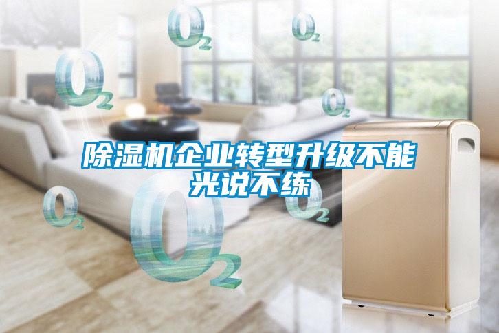 除濕機企業(yè)轉型升級不能光說(shuō)不練
