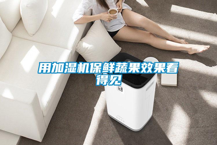 用加濕機保鮮蔬果效果看得見(jiàn)