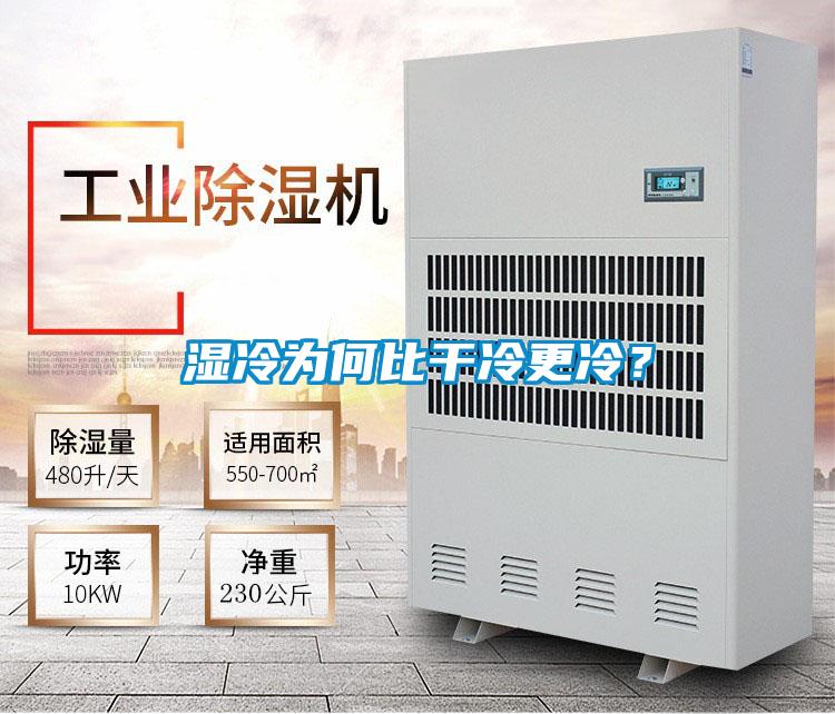 濕冷為何比干冷更冷？
