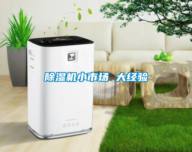 除濕機小市場(chǎng) 大經(jīng)驗