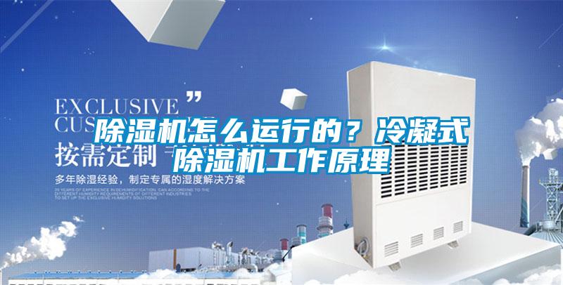 除濕機怎么運行的？冷凝式除濕機工作原理