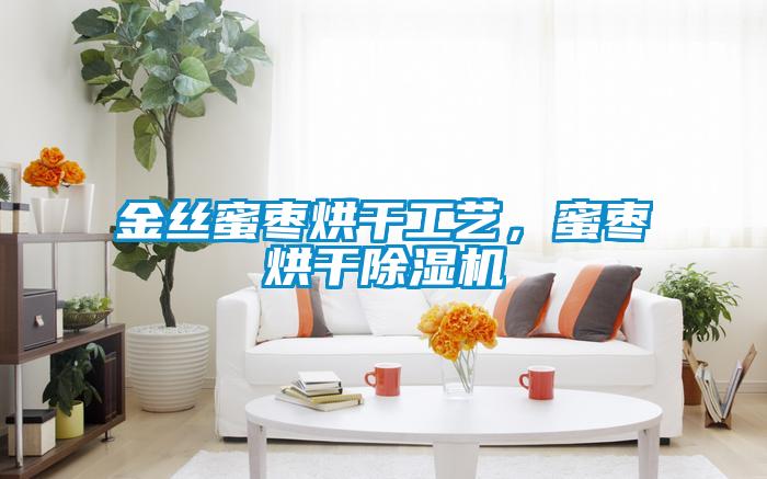 金絲蜜棗烘干工藝，蜜棗烘干除濕機