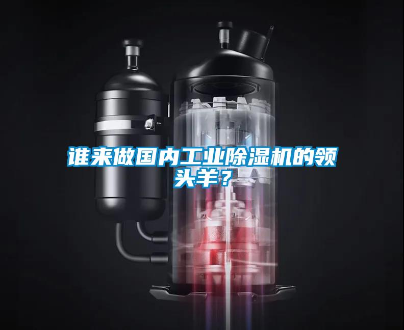 誰(shuí)來(lái)做國內工業(yè)除濕機的領(lǐng)頭羊？