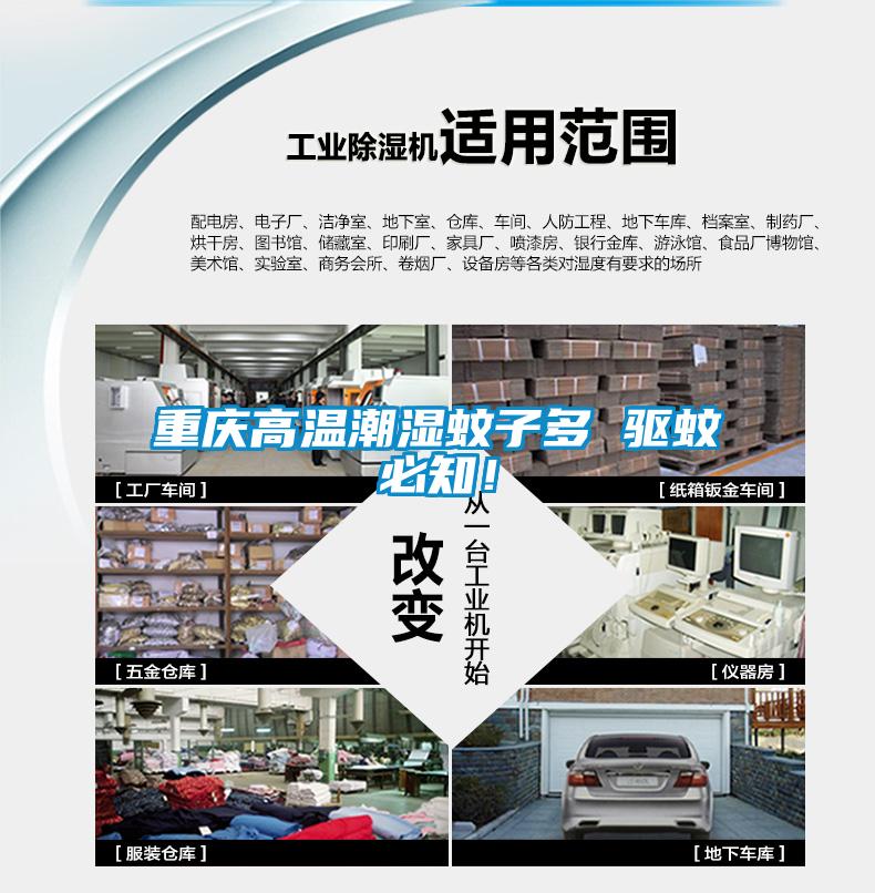 重慶高溫潮濕蚊子多 驅蚊必知！