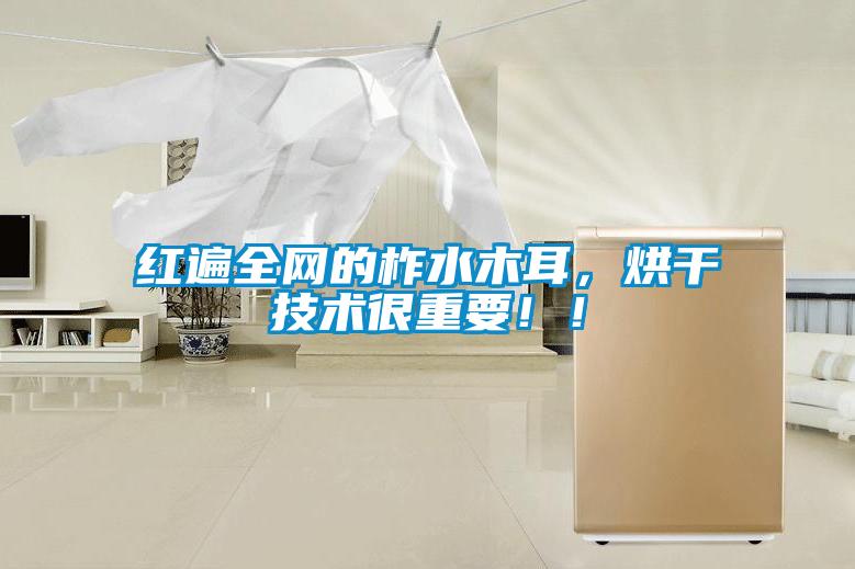 紅遍全網(wǎng)的柞水木耳，烘干技術(shù)很重要??！