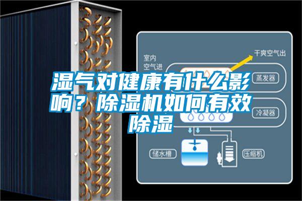 濕氣對健康有什么影響？除濕機如何有效除濕